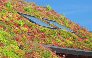Crown Wood living roof systems